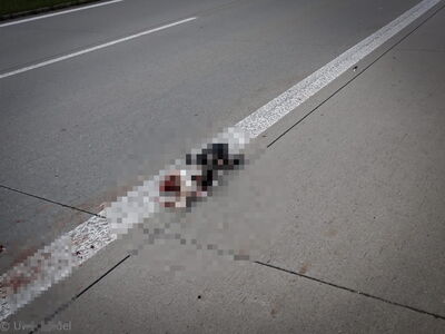 062024_Autobahn_A38_bei Leipzig_Foto_UweSeidel