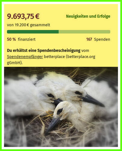 Collage: oben ist ein Screenshot von betterplace - 50%erreicht, unten ein Foto der drei Kaulitz-Störche