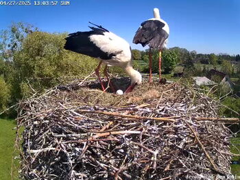 27.04.2025 Benjamin und Jenny - Link zum Video