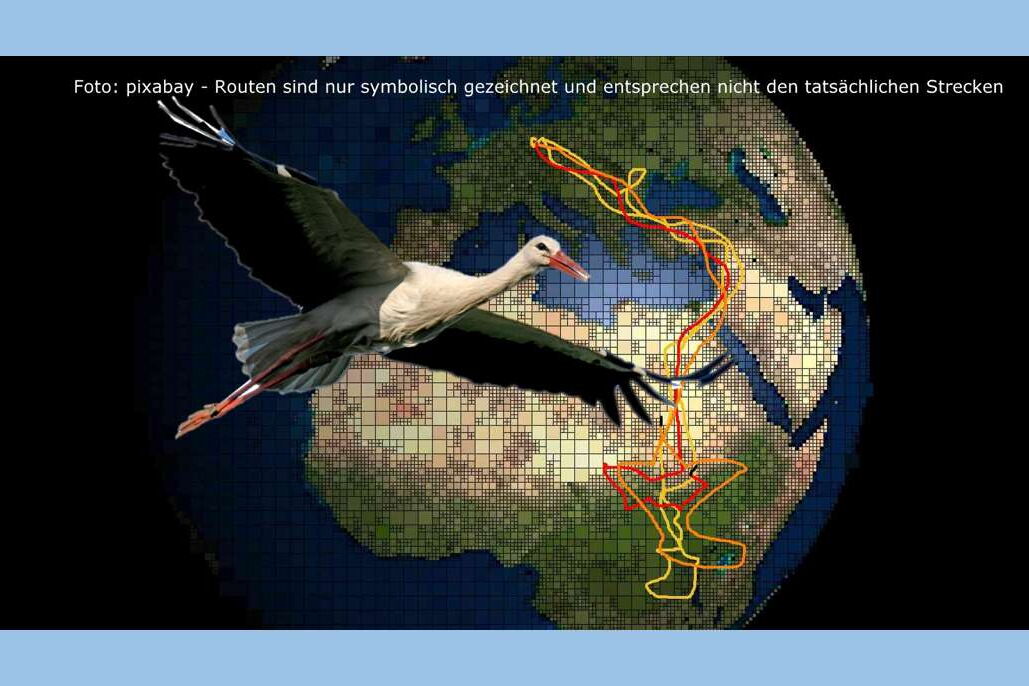 ein stilisiertes Bild mit einem Storch vor der Weltkugel