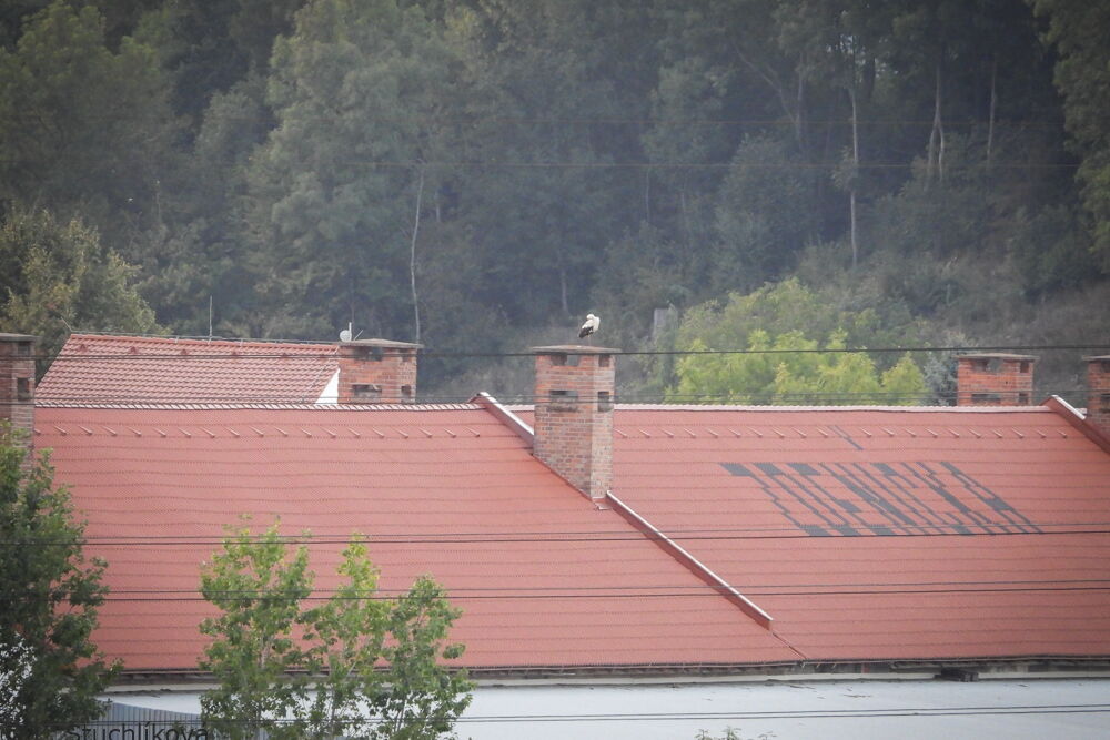 ein rotes Hausdach mit einem durch Dachziegel markierten Schriftzug, auf einem Schornstein steht ein Storch