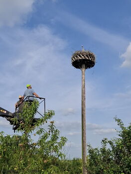 der Vater Otto steht auf dem Nest und schaut herunter, die Hebebühne fährt hoch
