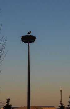 Rolandos Bruthorst 01.04.2019 Foto: C.Schulze