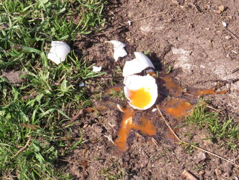 31.03.2021 zerbrochenes Ei