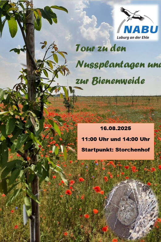 Blick an einem Baum vorbei auf ein Mohnfeld Schriftzüge (im Text vorhanden)