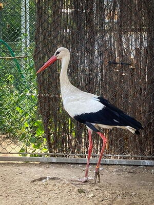 2151 noch ohne Namen Wusterhausen