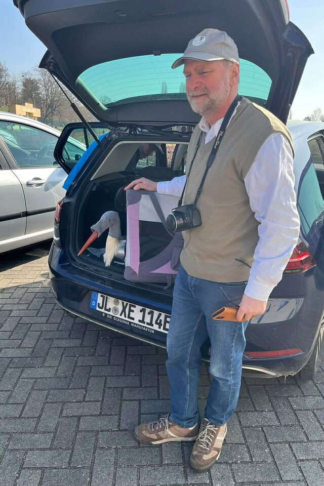 Dr. Michael Kaatz steht am Kofferraum, darin die Box mit dem Storch