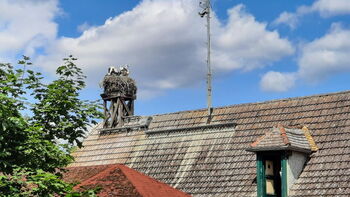 Haupthorst mit Nobby-Kindern und Aurelie und Kate