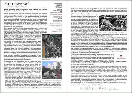 Herbstbrief  2020 als Bild, beidseitig