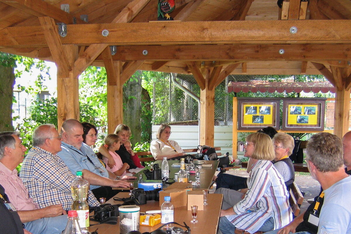 An den Tischen unter dem Pavillondach sitzen Vereinsfreunde /-Mitglieder