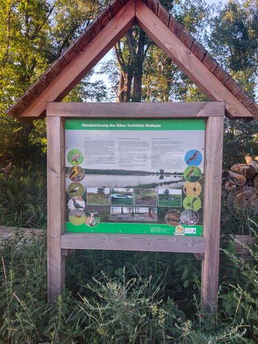 Infotafel zur Renaturierung des Alten Torfstichs Hedeper