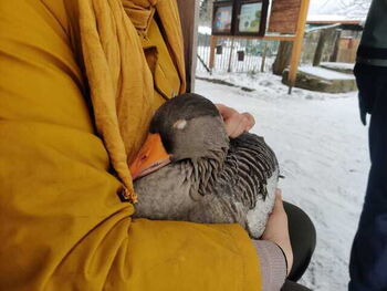 Gans schön kuschelig