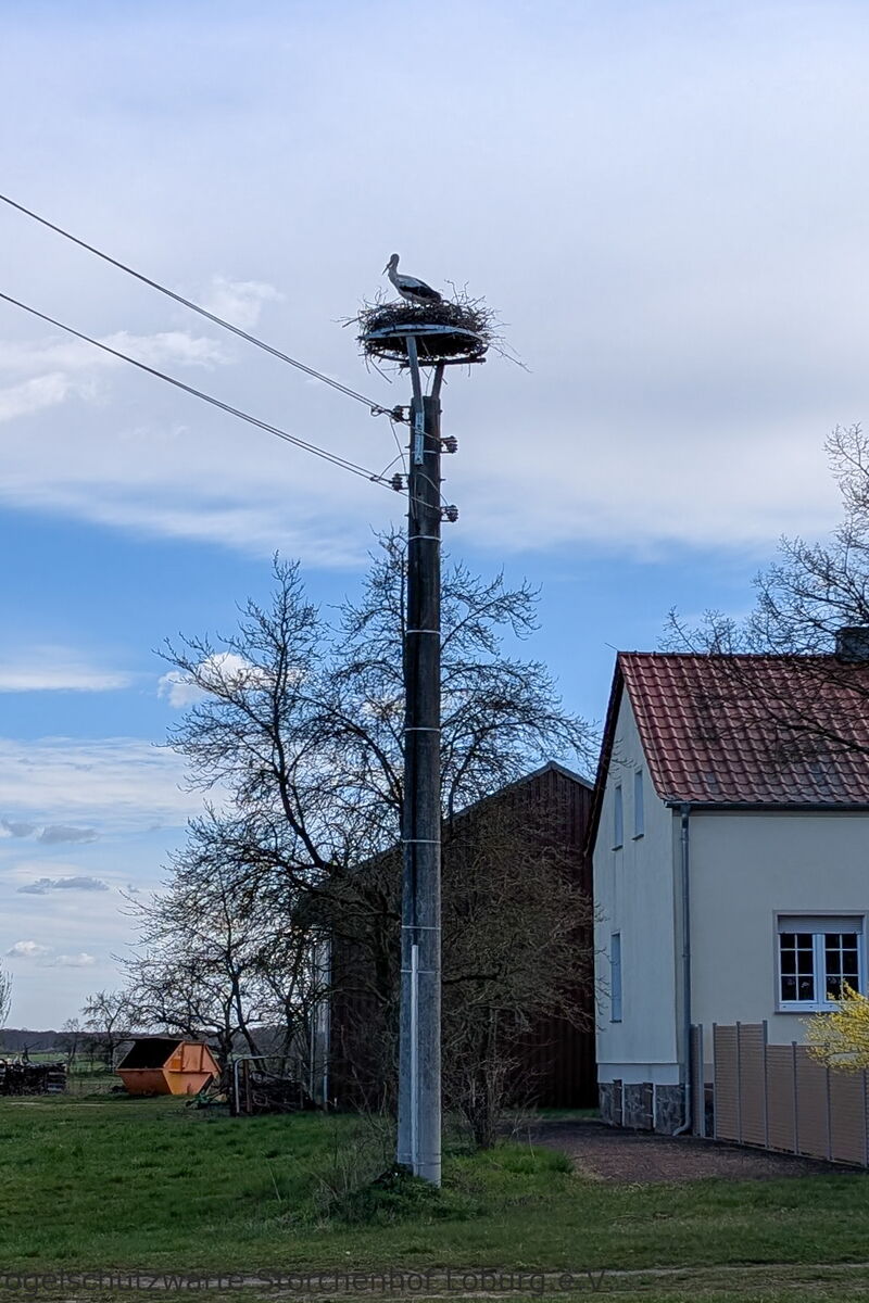 ein Betonmast mit einer Nisthilfe steht vor einem Haus