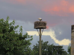 Maria (sitzend) am 07.07.2020