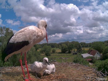 Benjamin 26.05.2020 Wiesenhorst mit zwei Jungen