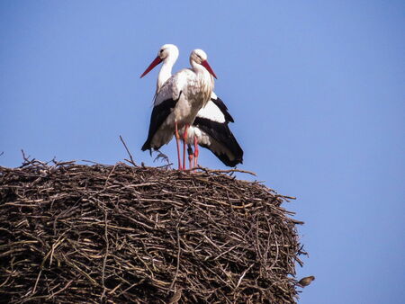 Novi und Anton am 24.02.2021
