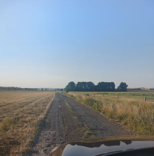 Betonplattenstraße zwischen Feldern in Veltheim am Fallstein