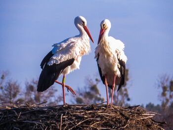 Benjamin (links) mit Partnerin am 06.04.2021