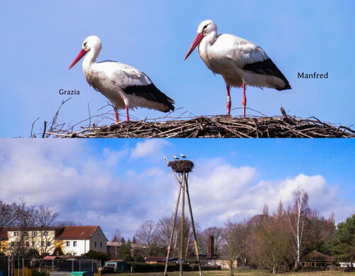 Grazia und Manfred auf dem Wiesenhorst 11.03.2021