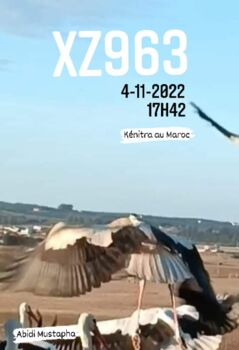 Moritz 2022 Kenitra