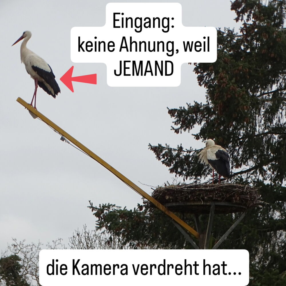 die Kamera an einem Ausleger/Stange schaut nicht mehr ins Nest, sie ist verstellt