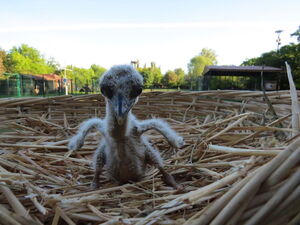 Asklepios 22.05.2020