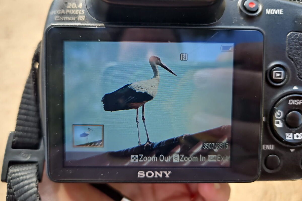 es ist das Display einer Fotokamera zu sehen, darauf ein Storch mit Antenne auf einem Hausdach