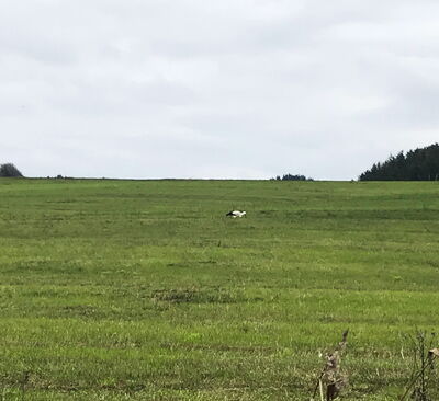 06.12.2022 Hirtshals/Dänemark: Andromache