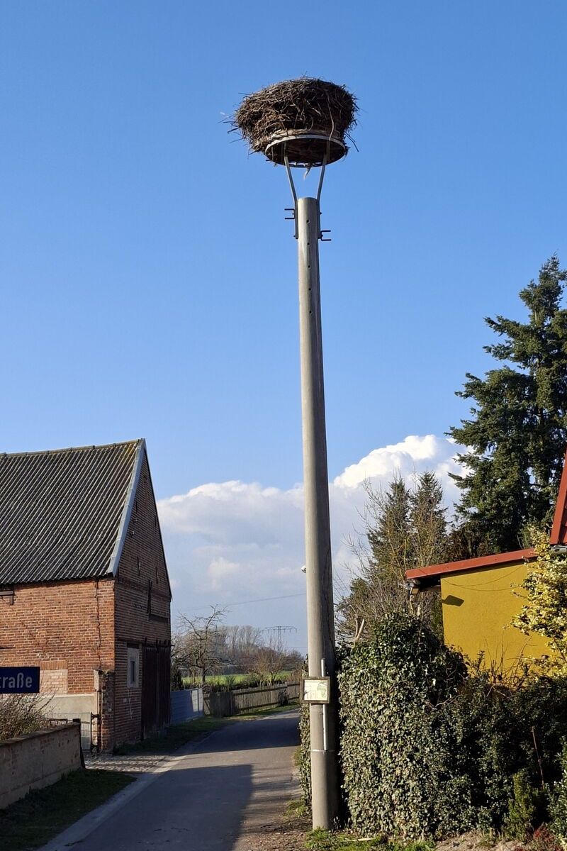 Storchenmast/-nest Nahaufnahme