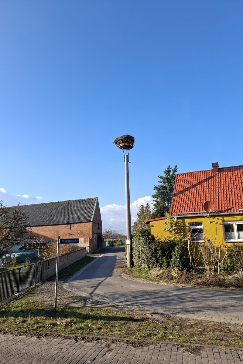 ein Betonmast mit einem Storchennest am Straßenrand