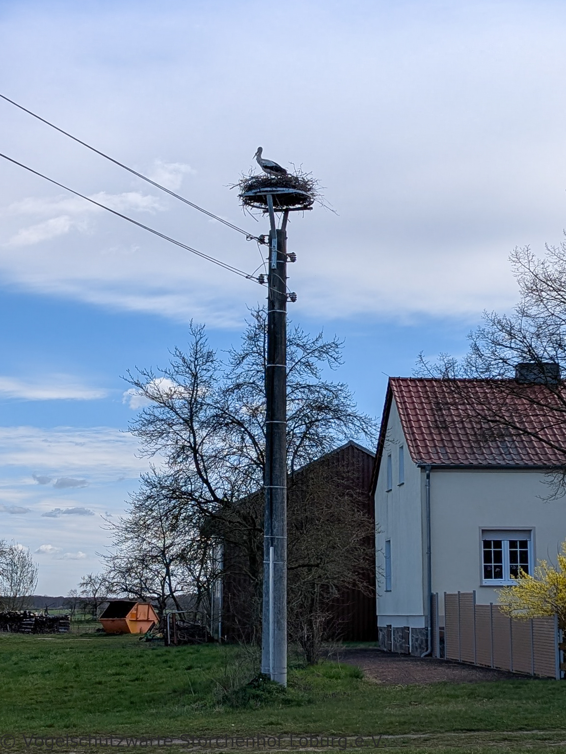 ein Betonmast mit einer Nisthilfe steht vor einem Haus