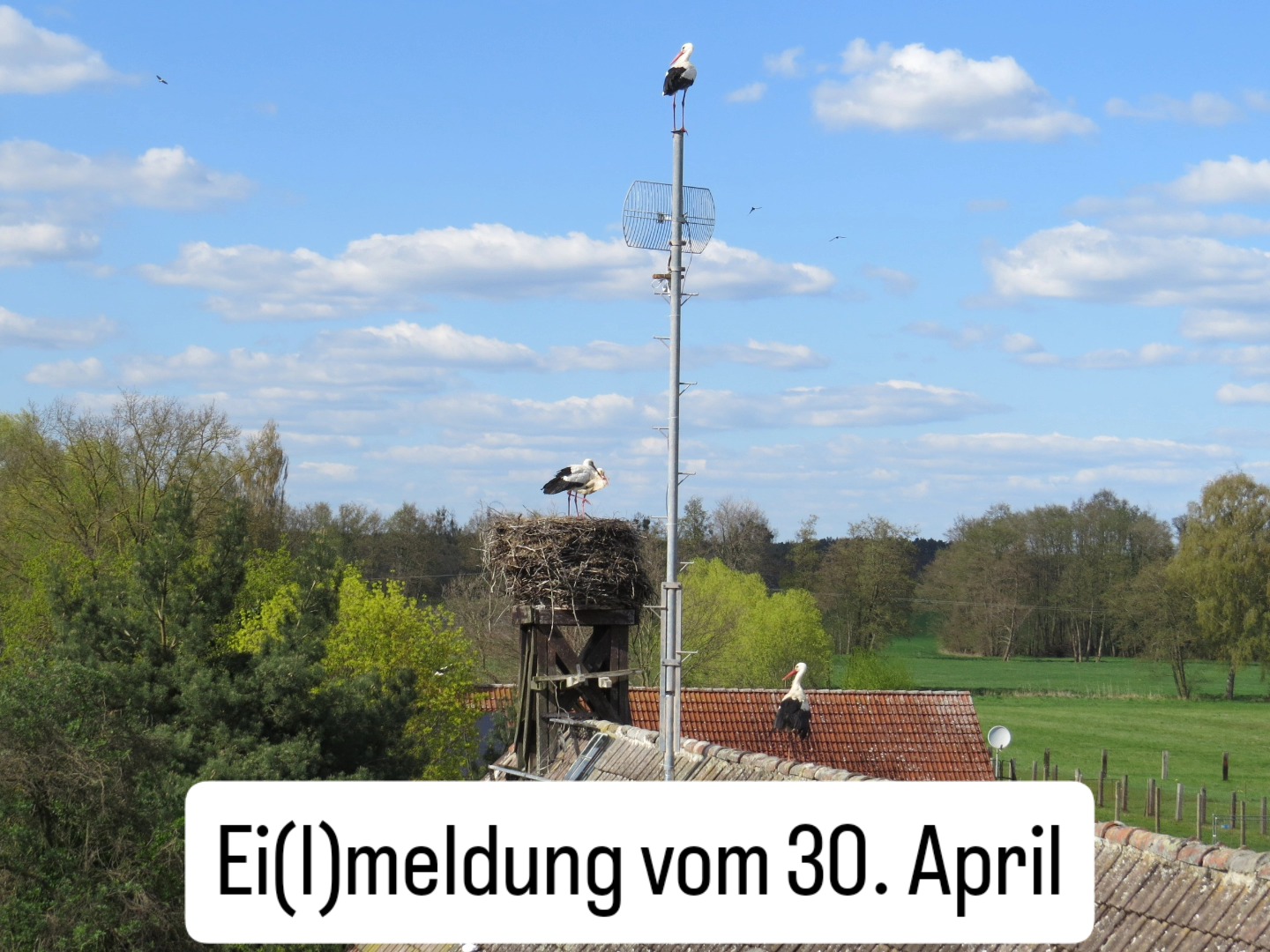 Blick auf das Dach vom Nebengebäude mit dem Haupthorst: Schriftzug "Eilmeldung vom 30. April"